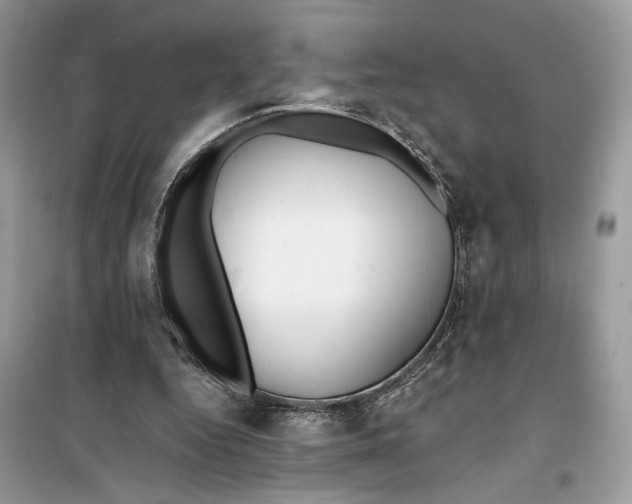 X0000099300344200805231347