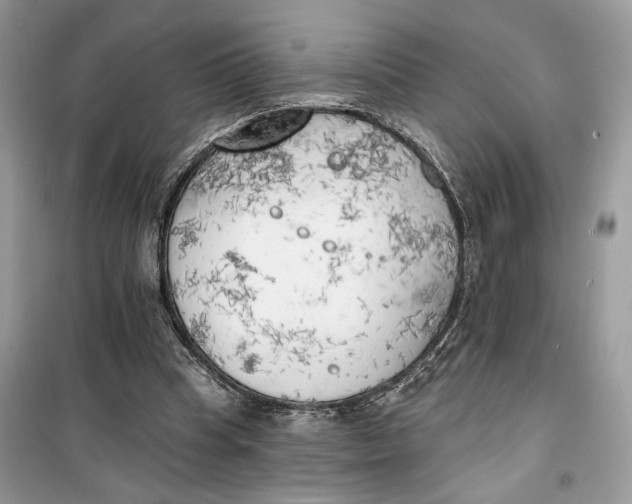 X0000099300345200805231347