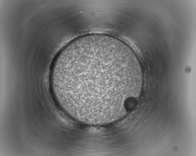 X0000099300346200805231347