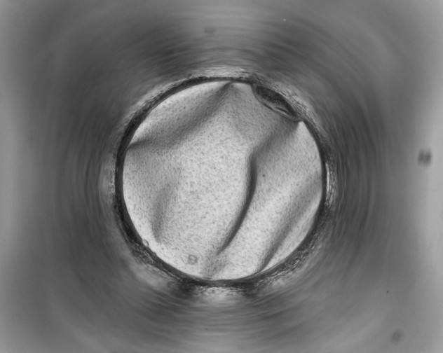 X0000099300348200805231347