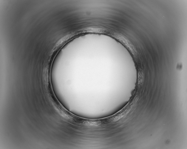 X0000099300349200805231347