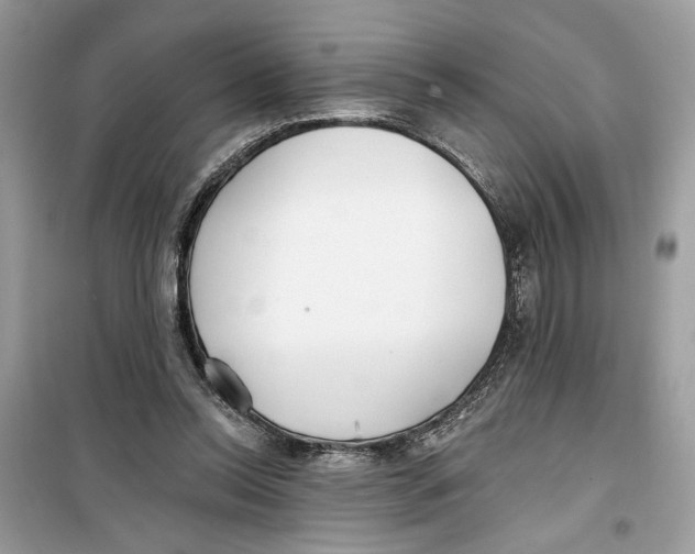 X0000099300350200805231347