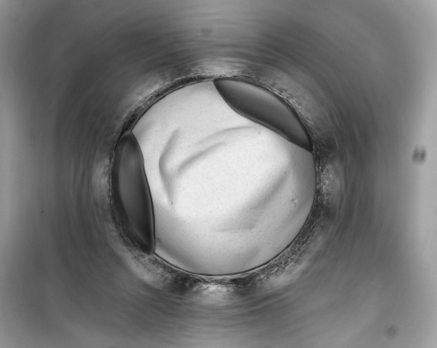 X0000099300352200805231347