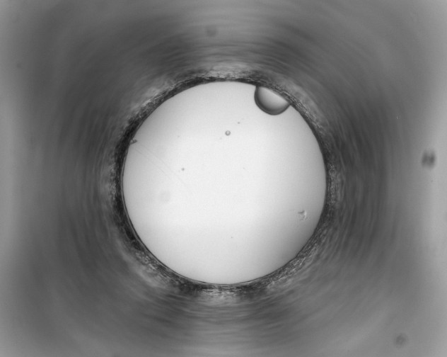 X0000099300354200805231347