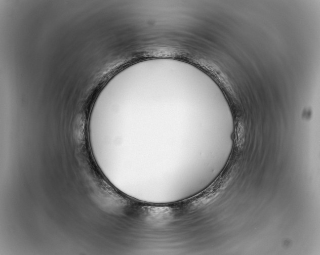 X0000099300355200805231347