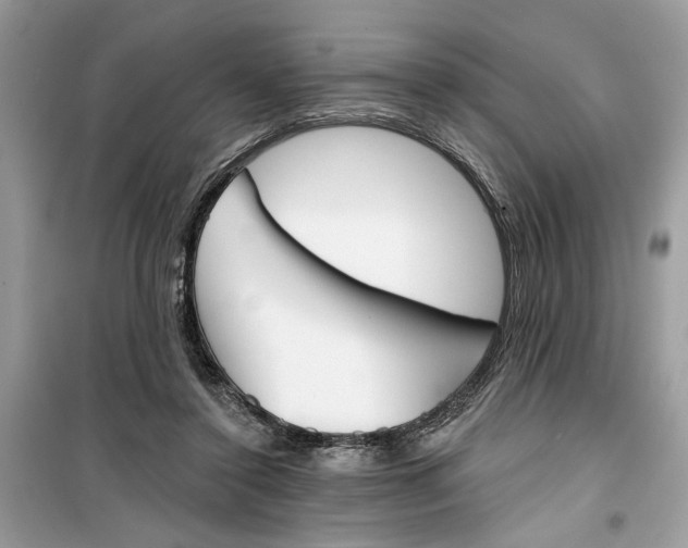 X0000099300356200805231347