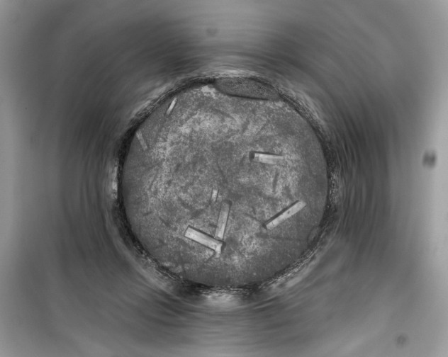 X0000099300358200805231347