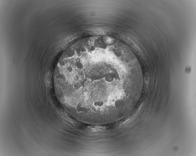 X0000099300359200805231347