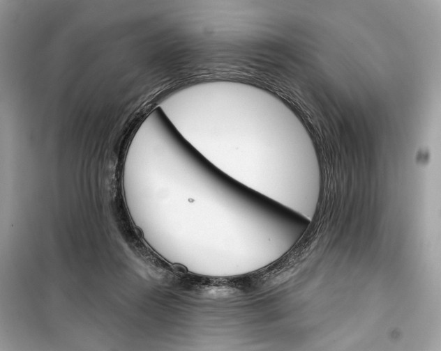 X0000099300360200805231347