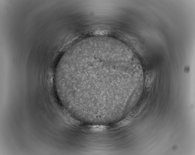 X0000099300363200805231347