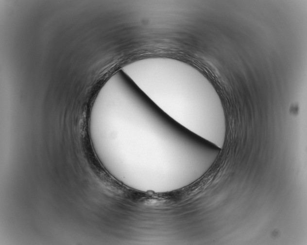 X0000099300364200805231347