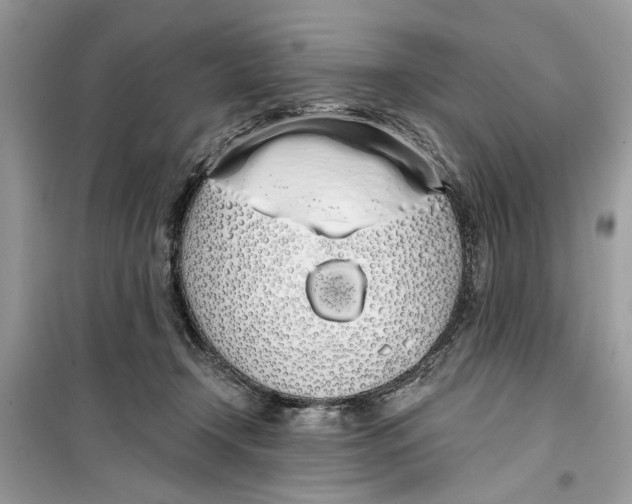 X0000099300366200805231347