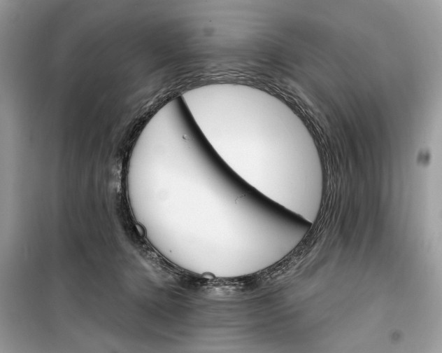 X0000099300368200805231347