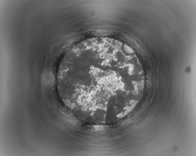 X0000099300371200805231347