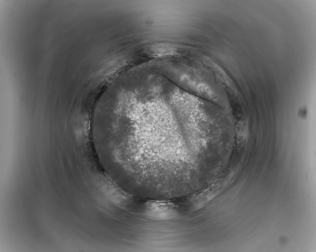 X0000099300372200805231347