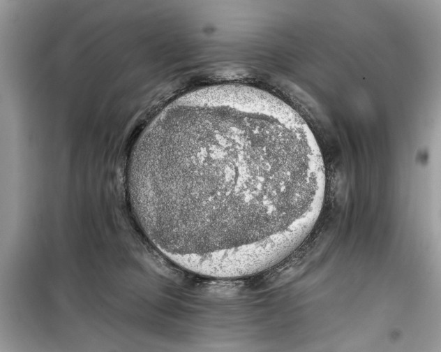 X0000099300373200805231347