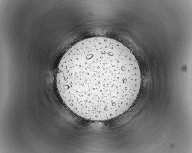 X0000099300374200805231347