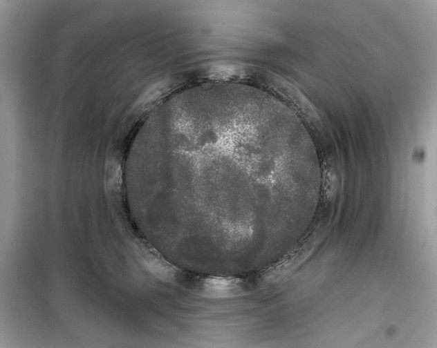 X0000099300375200805231347