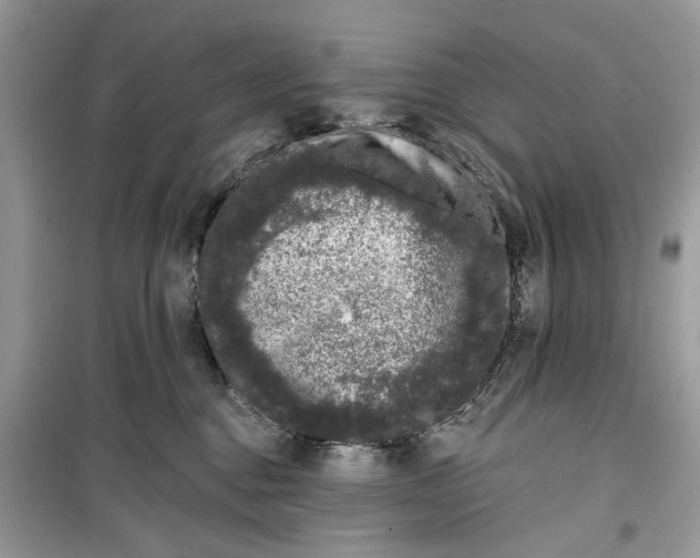 X0000099300376200805231347