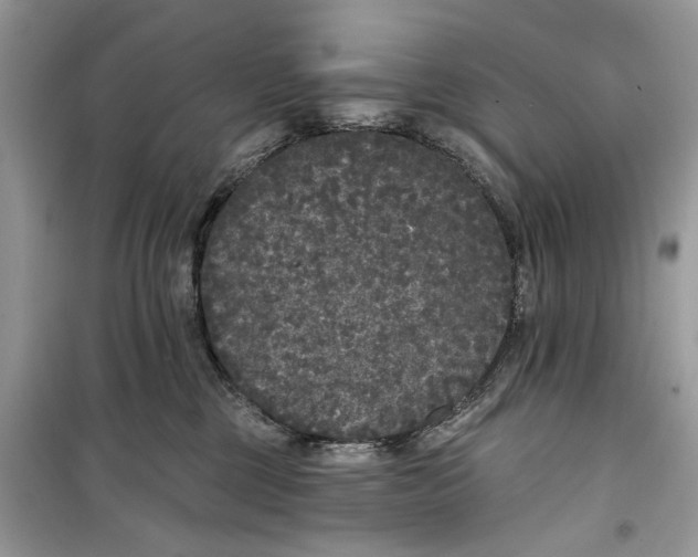 X0000099300377200805231347