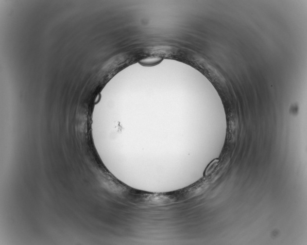 X0000099300379200805231347