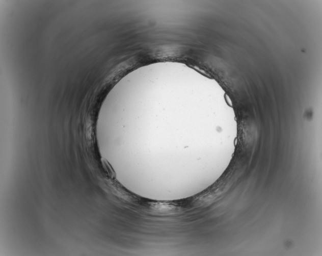 X0000099300380200805231347