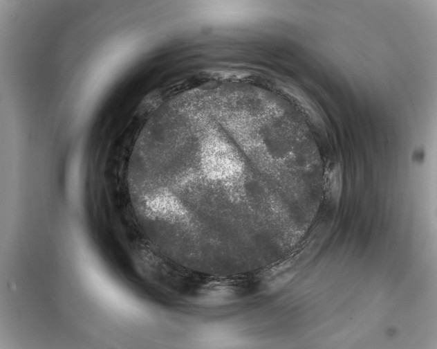 X0000099300381200805231347