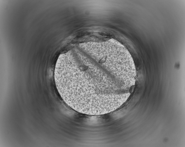 X0000099300382200805231347