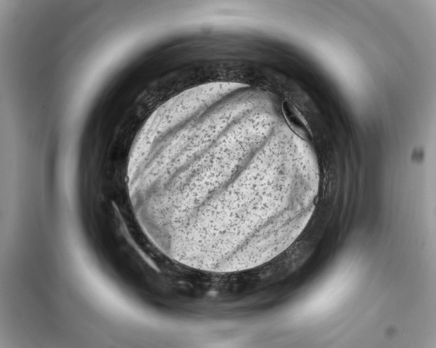 X0000099300383200805231347