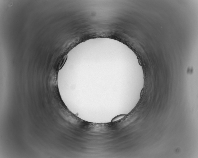 X0000099300384200805231347