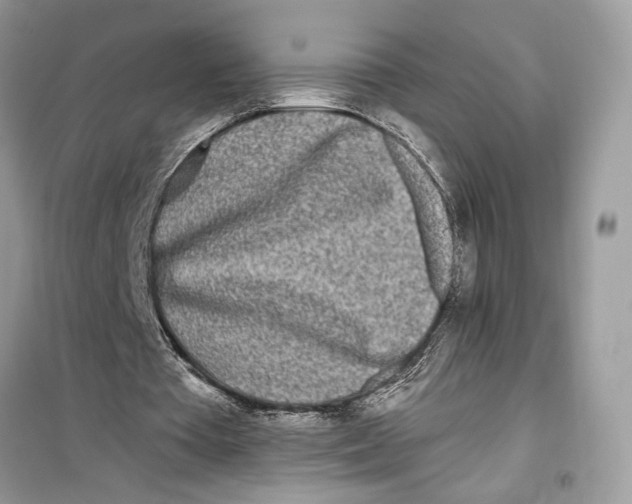 X0000099300385200805231347