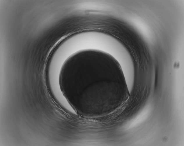 X0000099300387200805231347