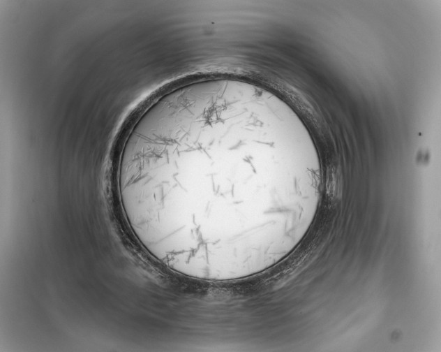 X0000099300388200805231347