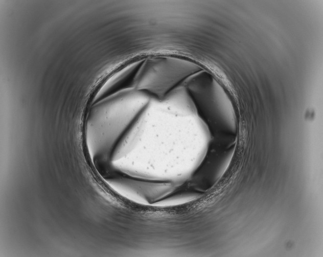 X0000099300389200805231347