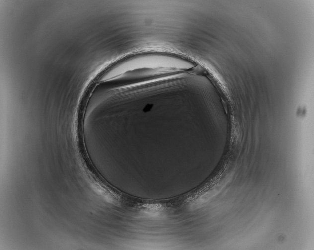 X0000099300391200805231347