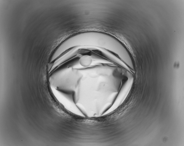 X0000099300393200805231347