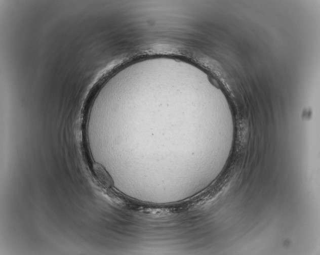 X0000099300395200805231347