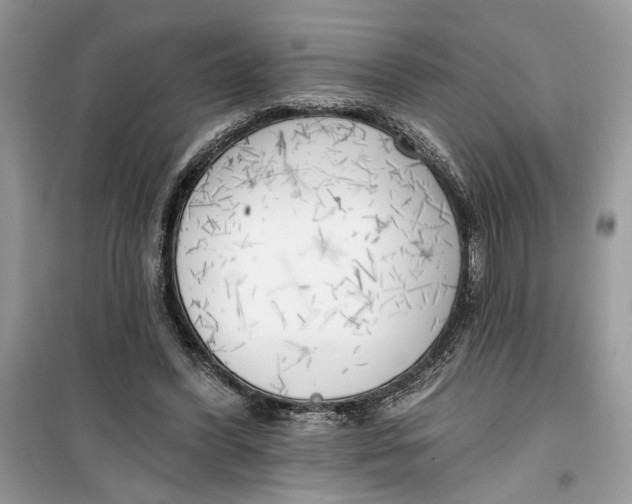 X0000099300396200805231347