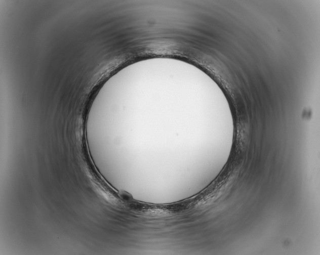 X0000099300397200805231347