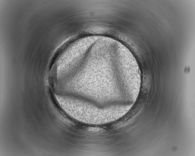 X0000099300399200805231346