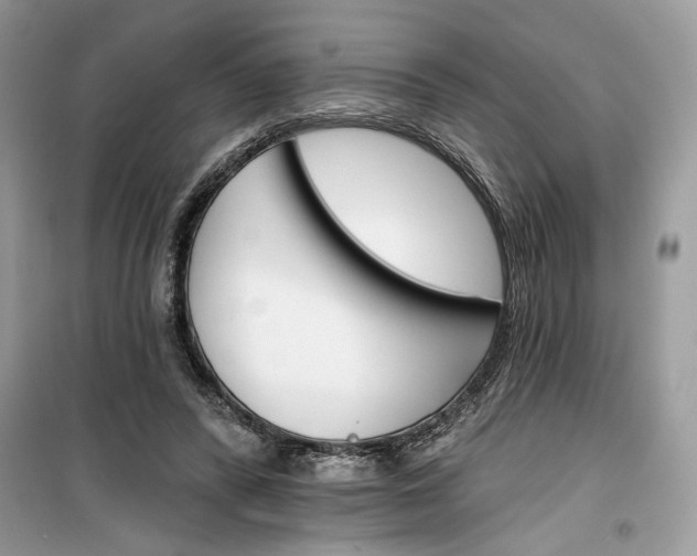 X0000099300400200805231346