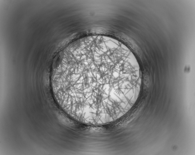 X0000099300401200805231346