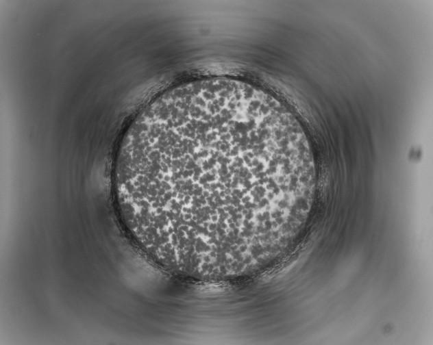 X0000099300402200805231346