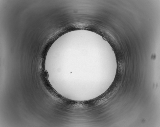 X0000099300404200805231346