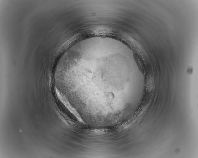 X0000099300405200805231346