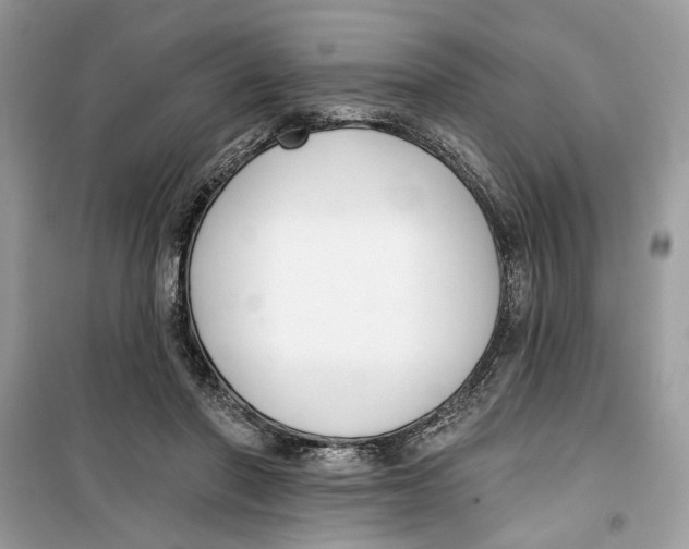 X0000099300406200805231346