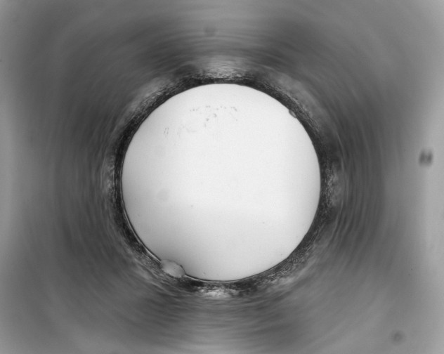 X0000099300407200805231346