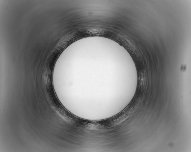 X0000099300408200805231346