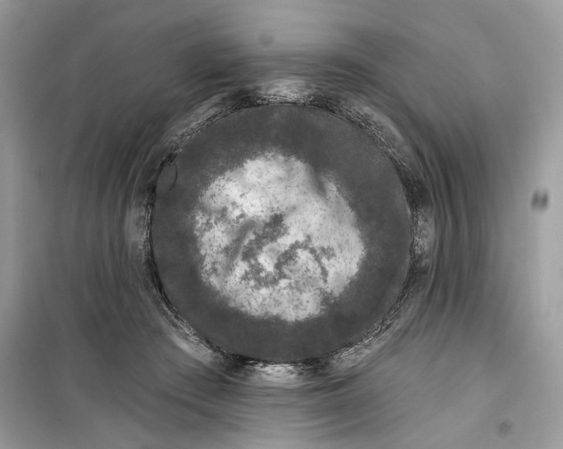 X0000099300409200805231346