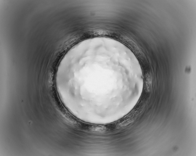 X0000099300410200805231346